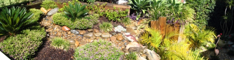 Landscape Planting